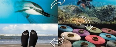 hyundai healthy seas